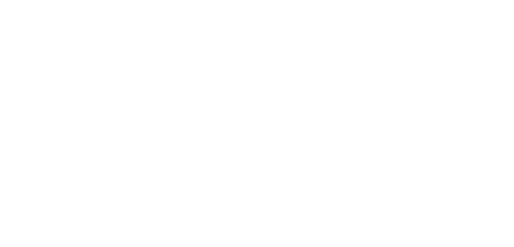 Friszz